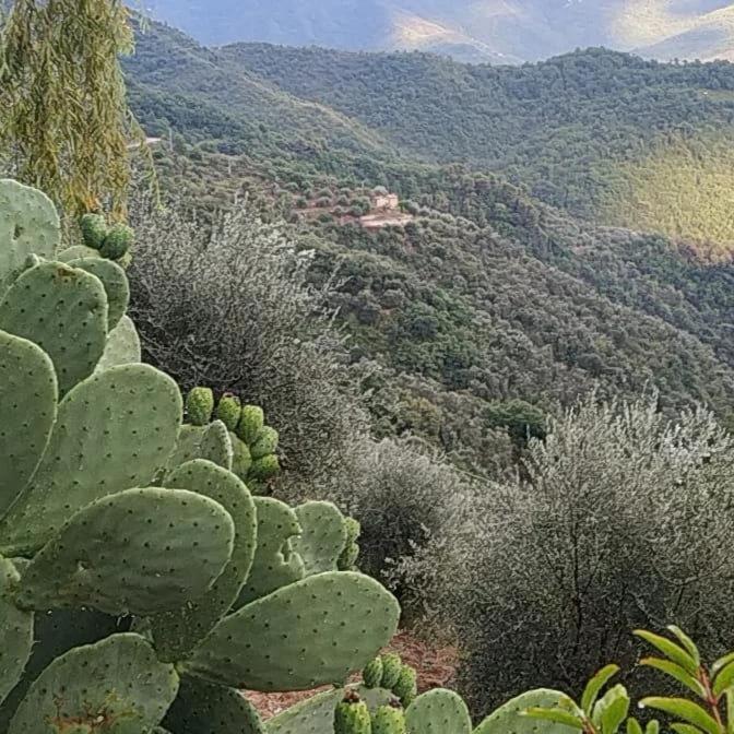 Appartamento Incantevole La Grotta Apricale Exteriér fotografie